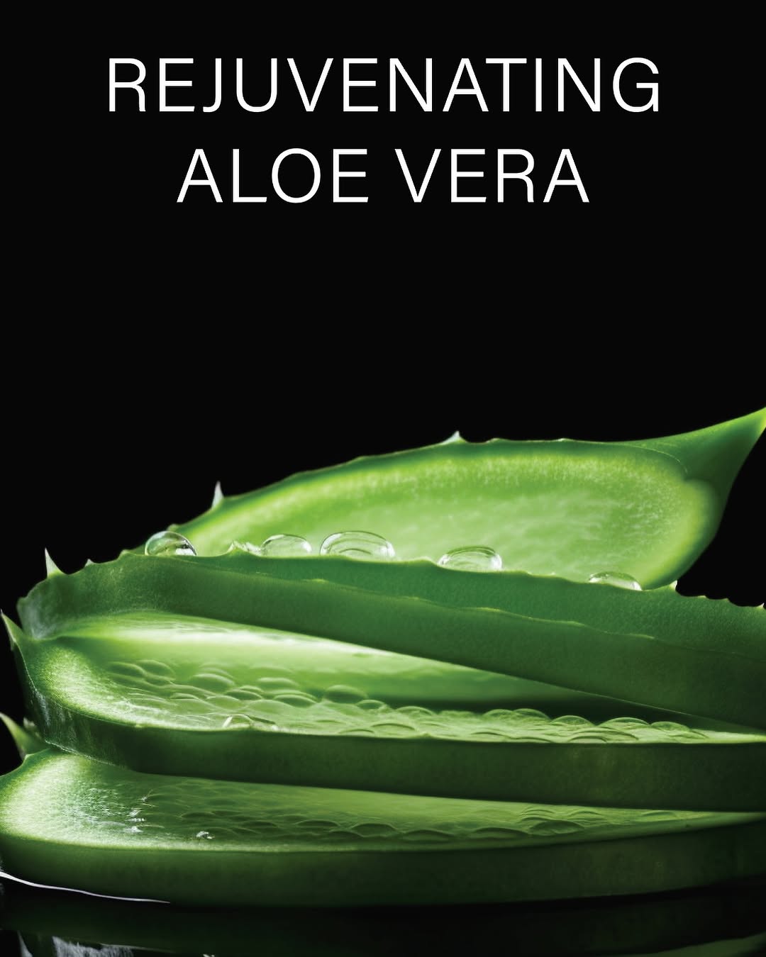 Rejuvenating Aloe Vera